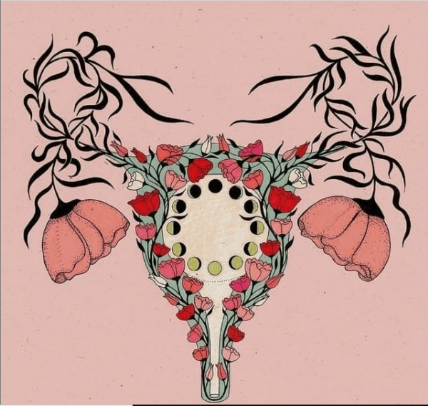 Leia mais sobre o artigo Saúde dos Ovários