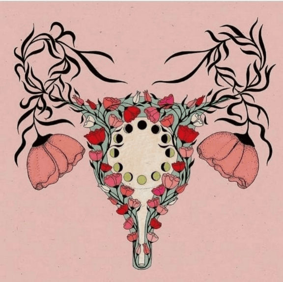 Leia mais sobre o artigo Ovários e Criatividade