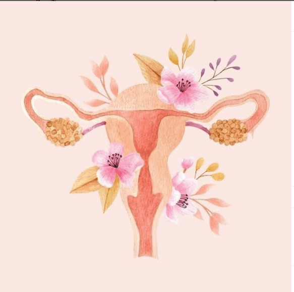 Leia mais sobre o artigo Ovários e a Criatividade