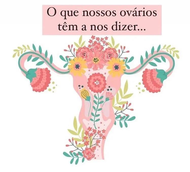 Leia mais sobre o artigo O que nossos ovários tem a nos dizer