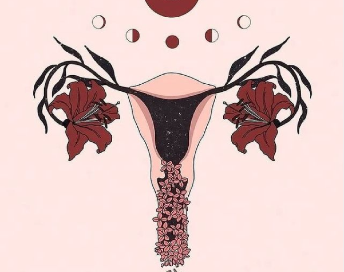 ilustraçaõ 5